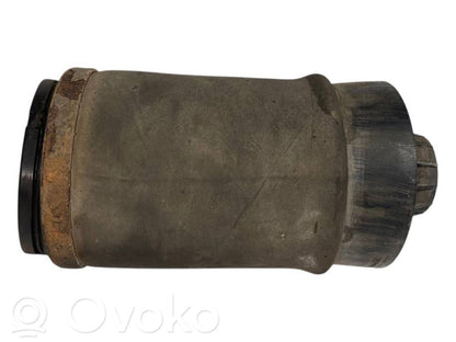 Aizmugurē gaisa spilvens