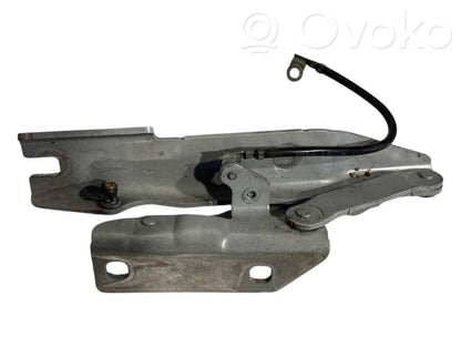 Петли капота двигателя