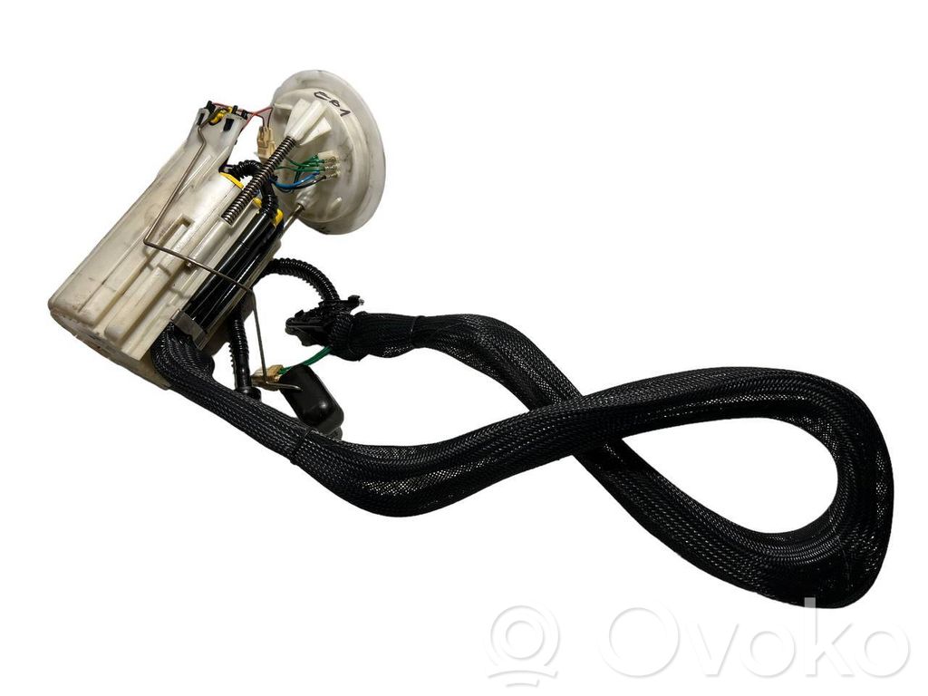 Fuel pump (in the fuel tank)