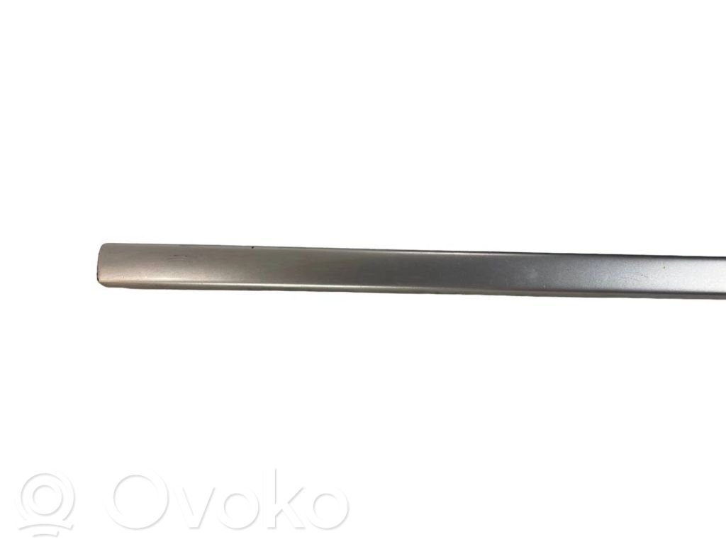 Priekšpusē durvju dekoratīvā apdare (moldings)