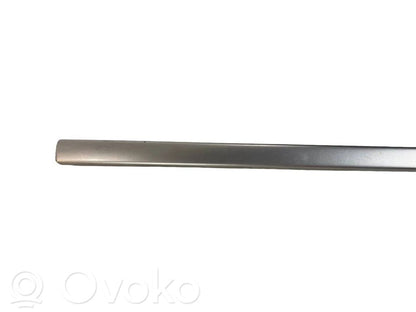 Priekšpusē durvju dekoratīvā apdare (moldings)