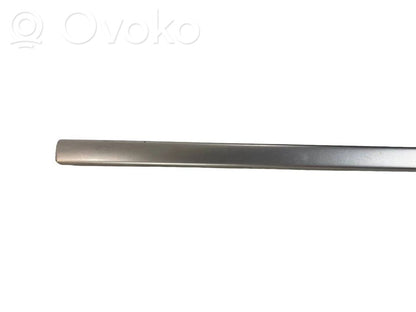 Front door decorative trim (molding)