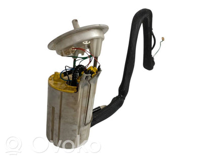 Fuel pump (in the fuel tank)