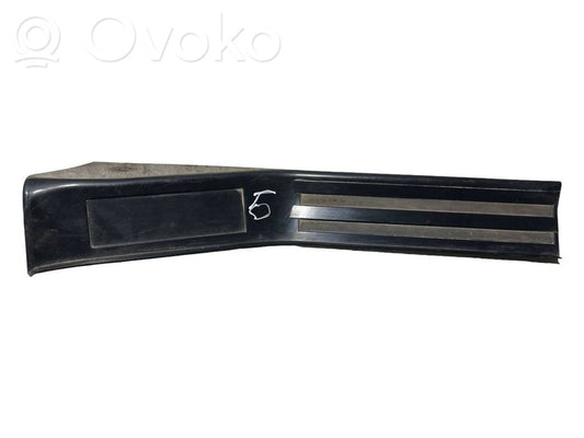 Rear door sill trim (inner)