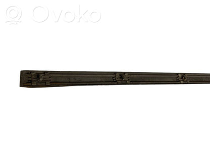 Front door decorative trim (molding)