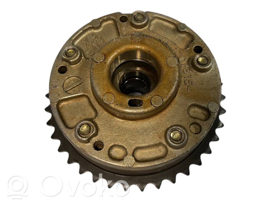 Sadales vārpstas skriemelis / "Vanos"