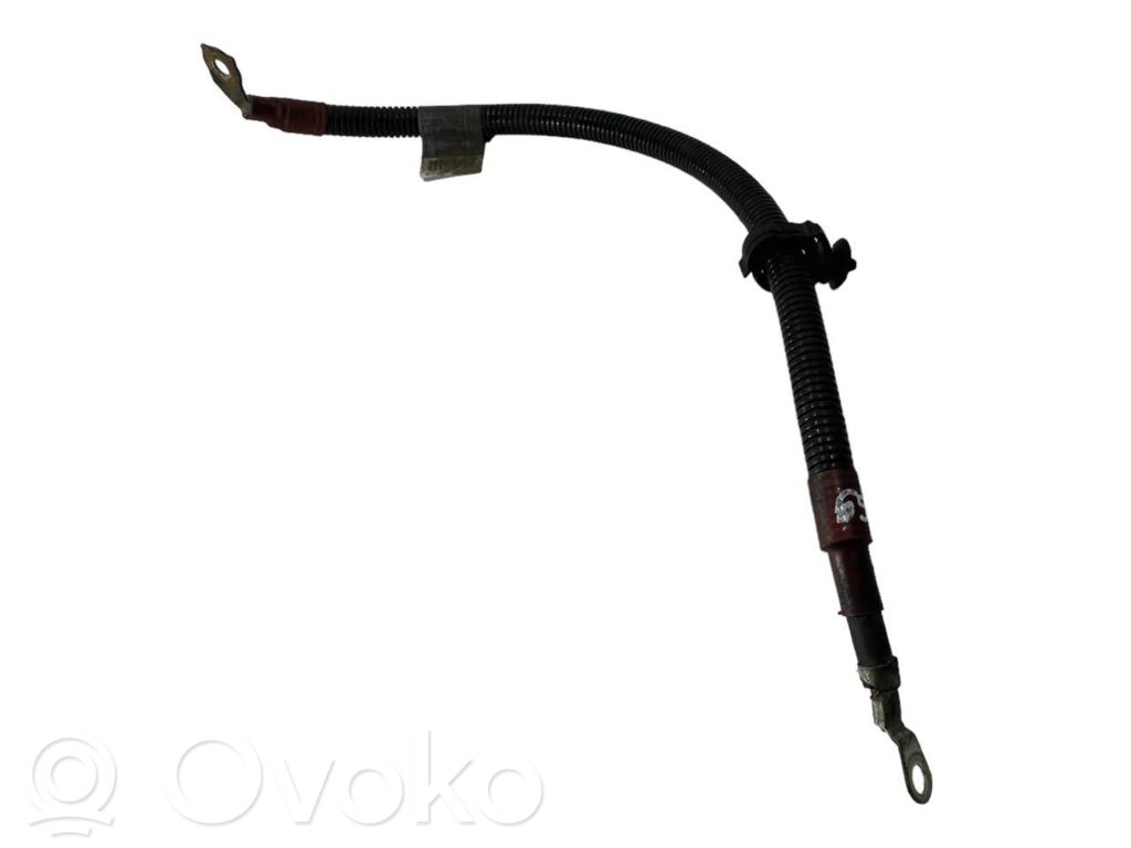 Plusa vads (akumulatora)