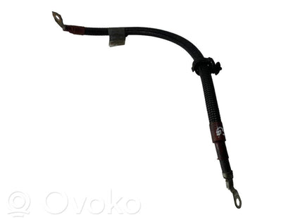 Plusa vads (akumulatora)