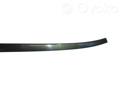 Priekšpusē durvju dekoratīvā apdare (moldings)