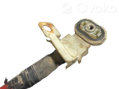 Plusa vads (akumulatora)