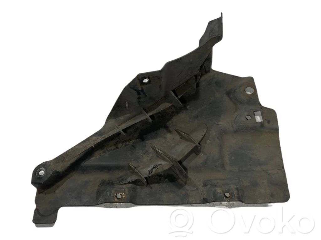 Under engine guard (front)