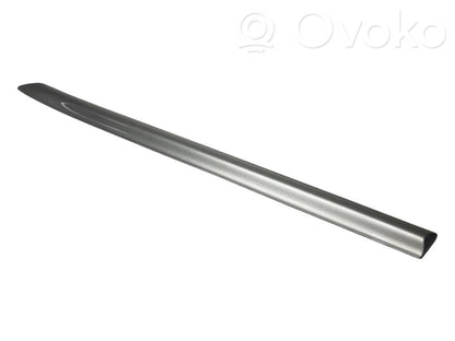 Aizmugurējā spārna uzlika / moldings