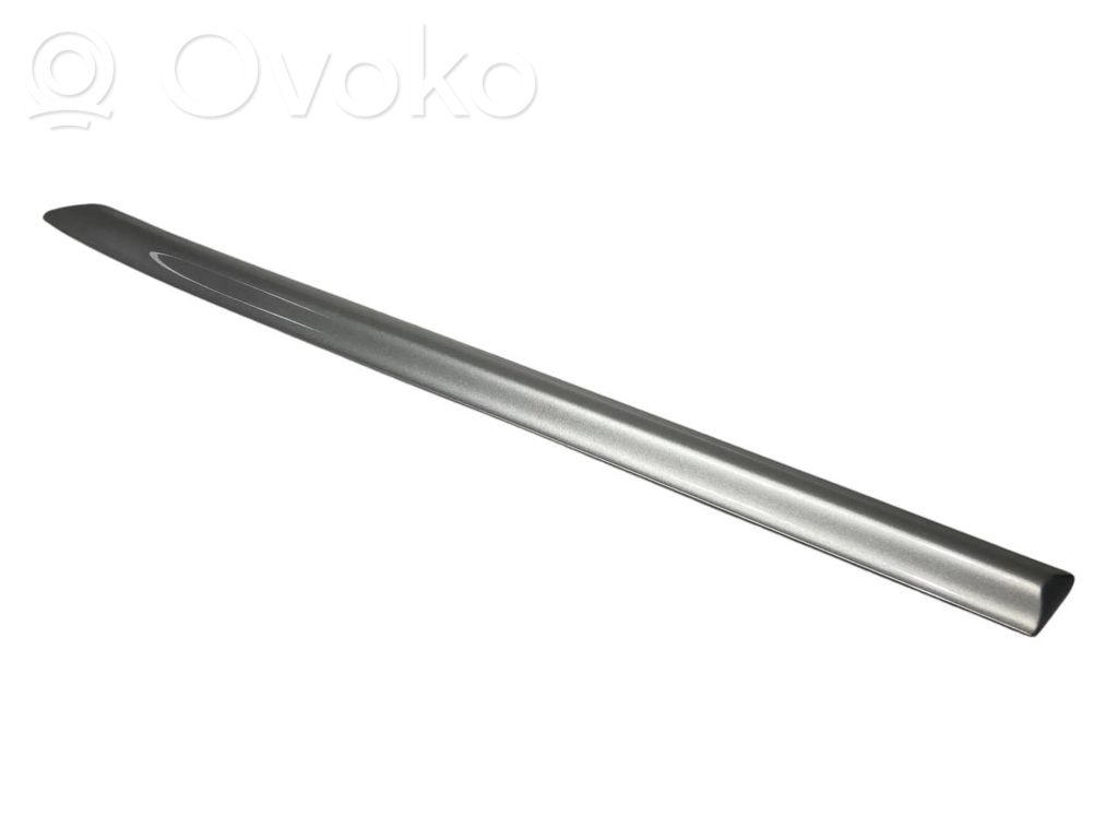 Aizmugurējā spārna uzlika / moldings