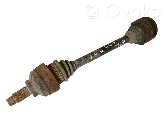 Aizmugurējā pusass