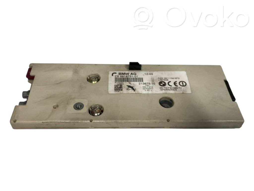 Antenna amplifier