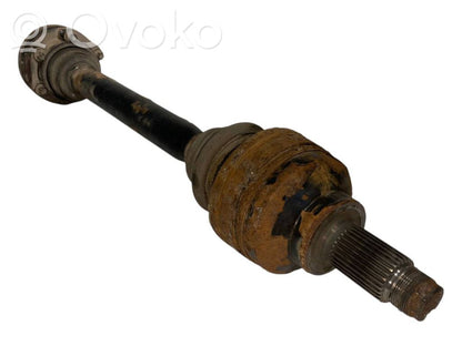 Aizmugurējā pusass