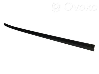Aizmugurē durvju dekoratīvā apdare (moldings)