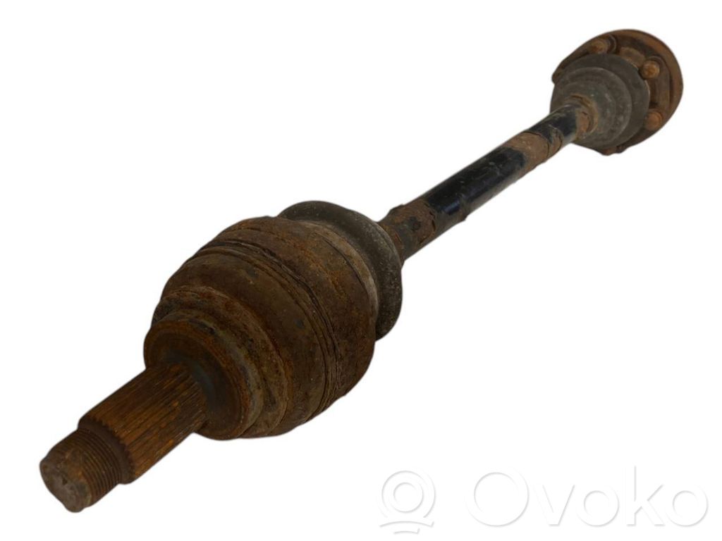 Aizmugurējā pusass