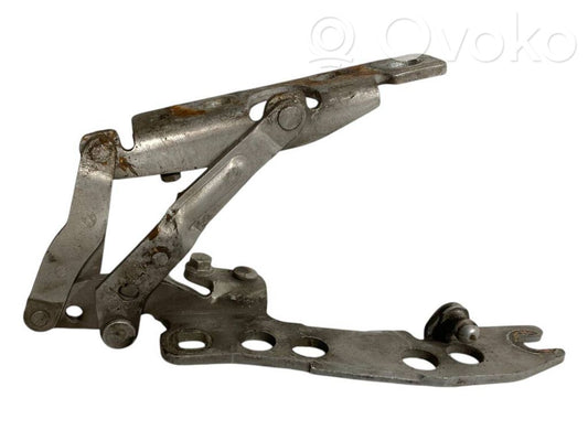 Петли капота двигателя