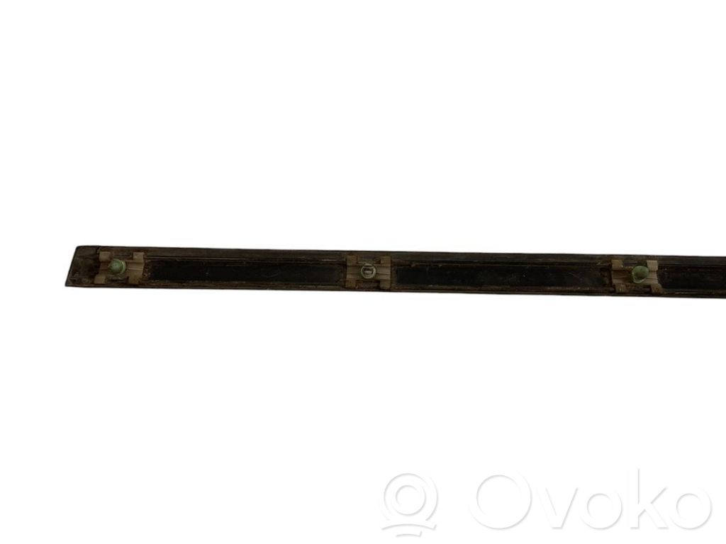 Front door decorative trim (molding)