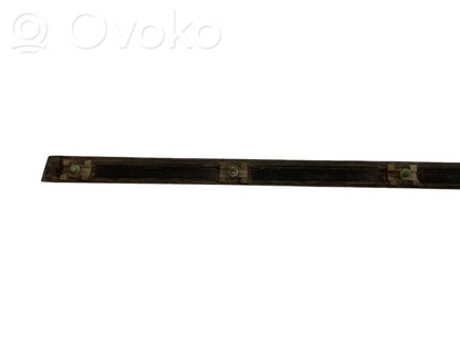Front door decorative trim (molding)