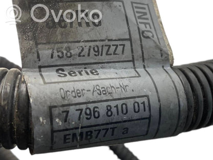 Жгут проводов двигателя