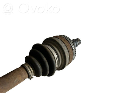 Aizmugurējā pusass