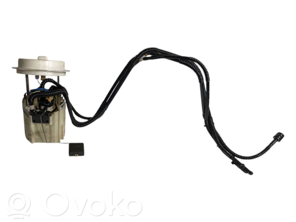 Fuel pump (in the fuel tank)