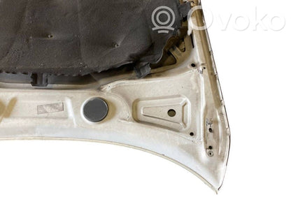 Dzinēja pārsegs (vāks)