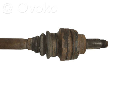 Aizmugurējā pusass