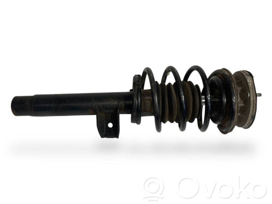 Front shock absorber with spring