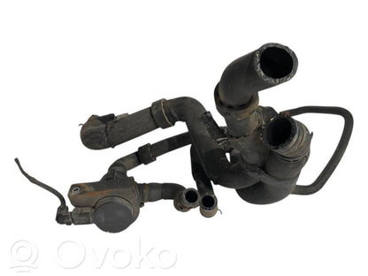 Caurulīte (-es) / šļūtene (-es)