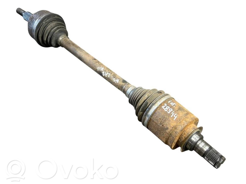 Aizmugurējā pusass