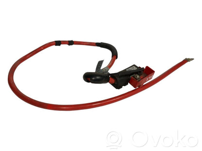 Plusa vads (akumulatora)