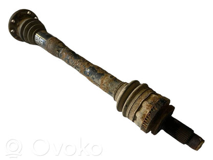 Aizmugurējā pusass