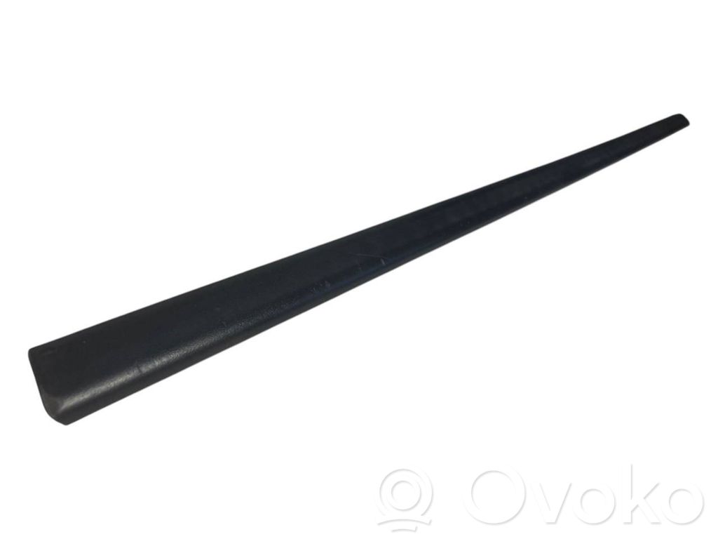 Front door decorative trim (molding)