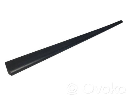 Front door decorative trim (molding)