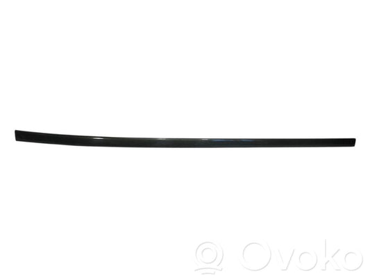 Aizmugurē durvju dekoratīvā apdare (moldings)
