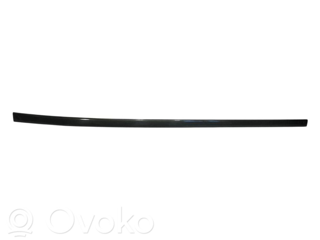 Aizmugurē durvju dekoratīvā apdare (moldings)