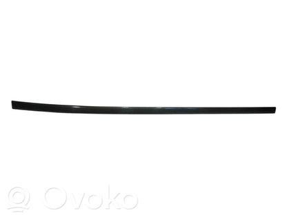Aizmugurē durvju dekoratīvā apdare (moldings)