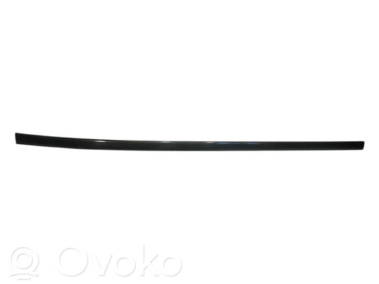 Aizmugurē durvju dekoratīvā apdare (moldings)
