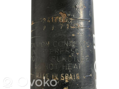 Rear shock absorber with spring