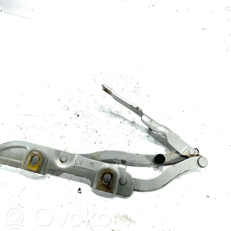 Aizmugurējā pārsega eņģe (-ess)