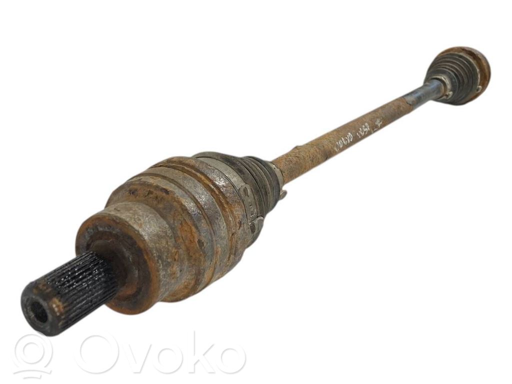 Aizmugurējā pusass