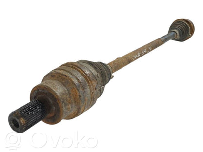 Aizmugurējā pusass