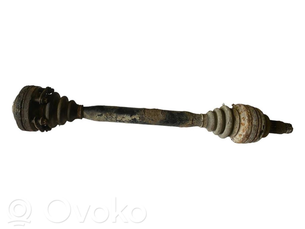 Aizmugurējā pusass