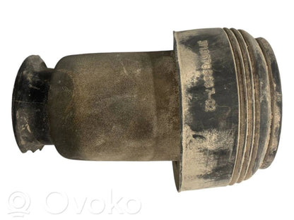 Aizmugurē gaisa spilvens