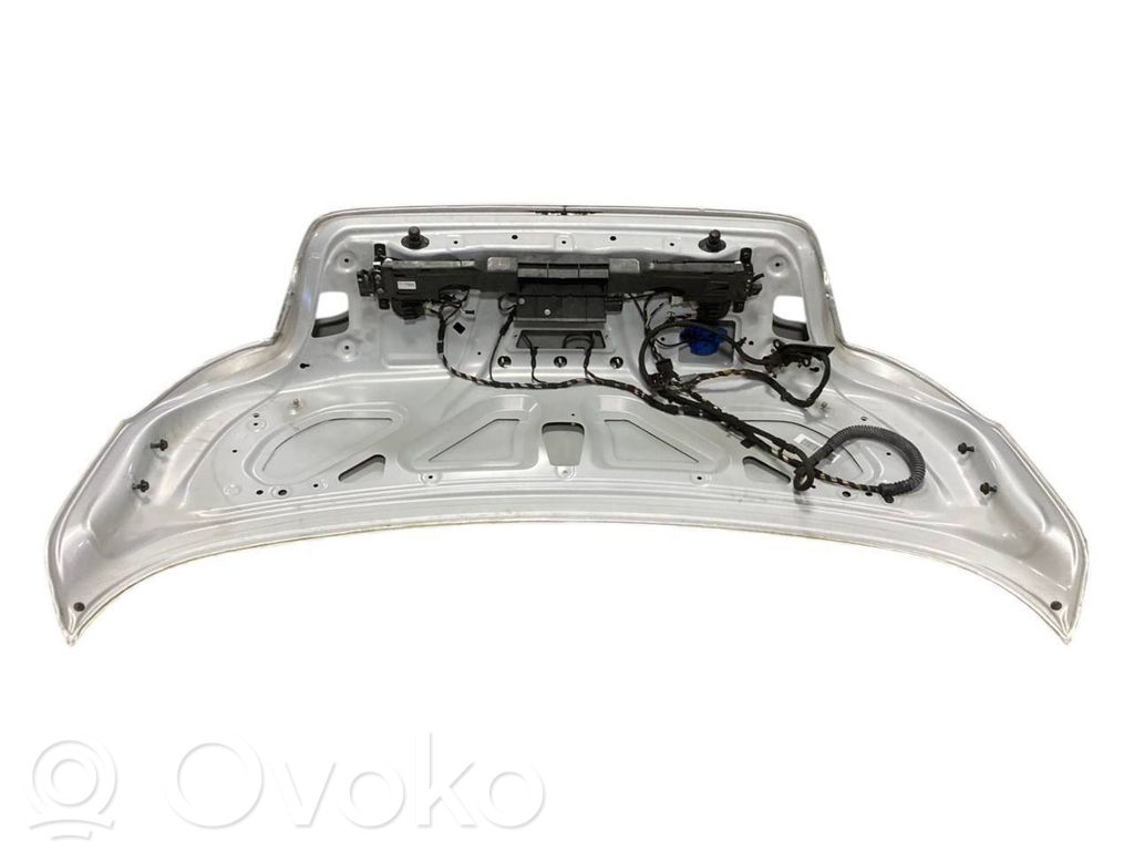 Aizmugurējais pārsegs (bagāžnieks)