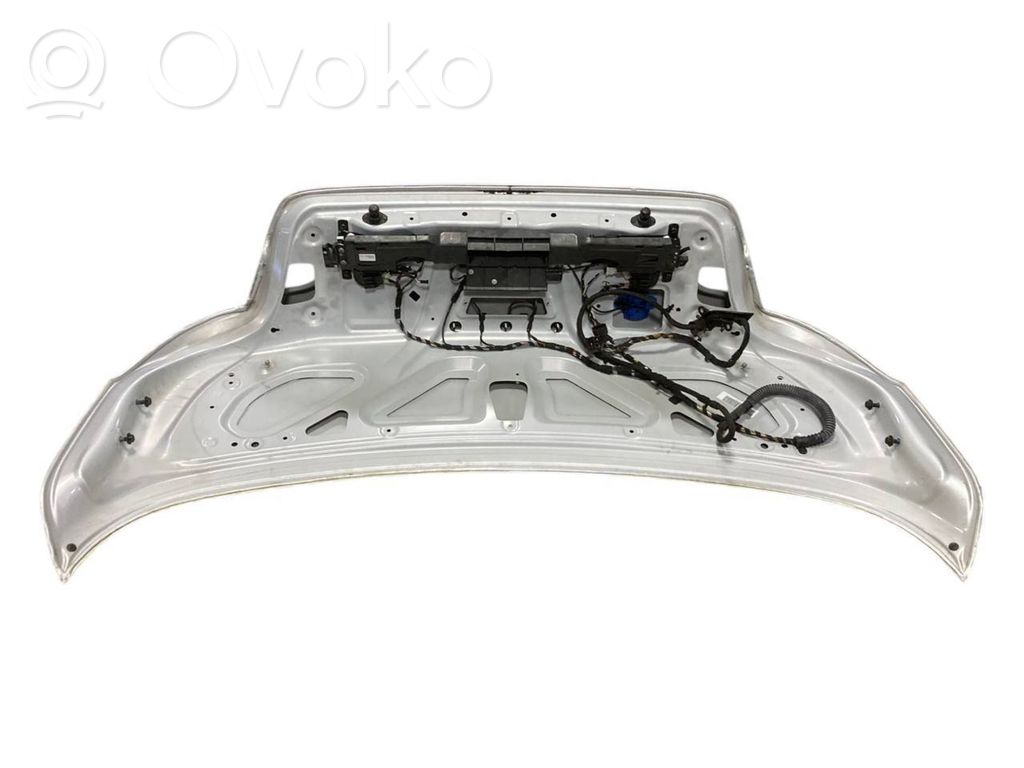 Aizmugurējais pārsegs (bagāžnieks)