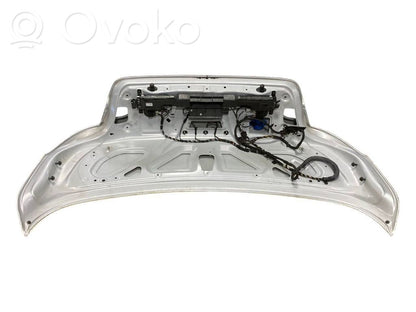 Aizmugurējais pārsegs (bagāžnieks)